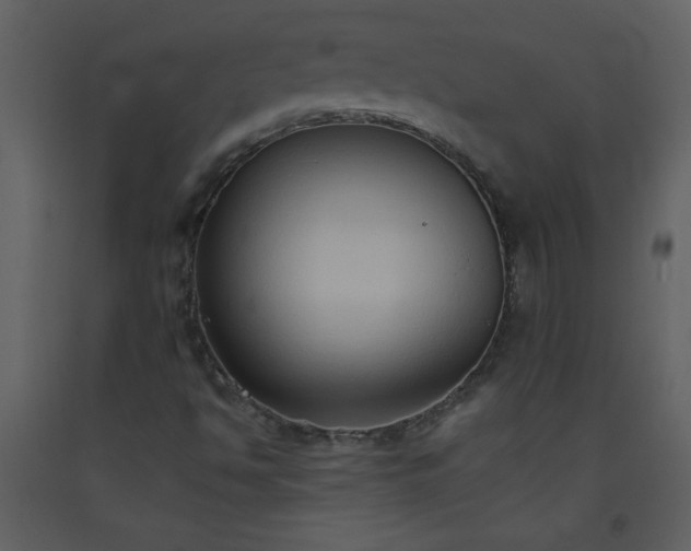 X0000093561494200710221412