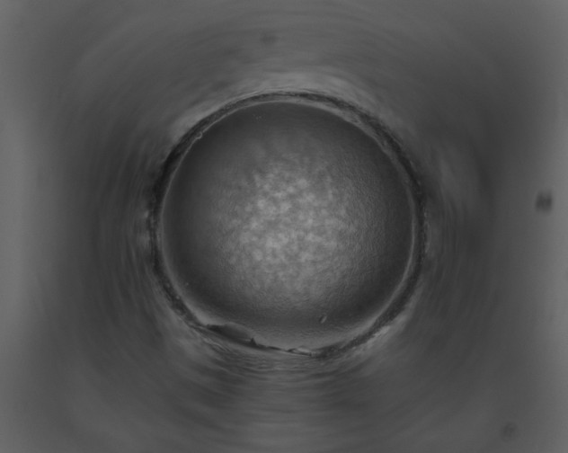 X0000093561497200710221412