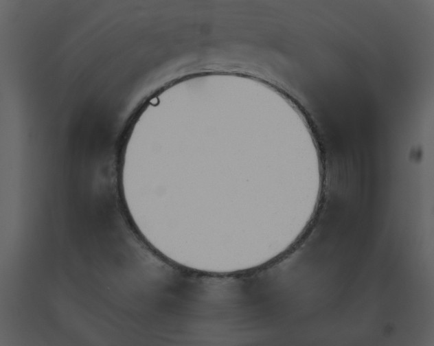 X0000093561498200710221412