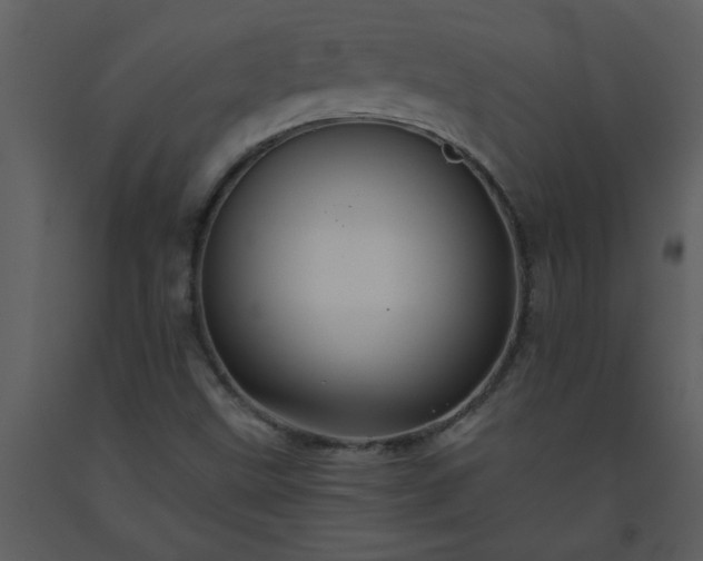 X0000093561499200710221412