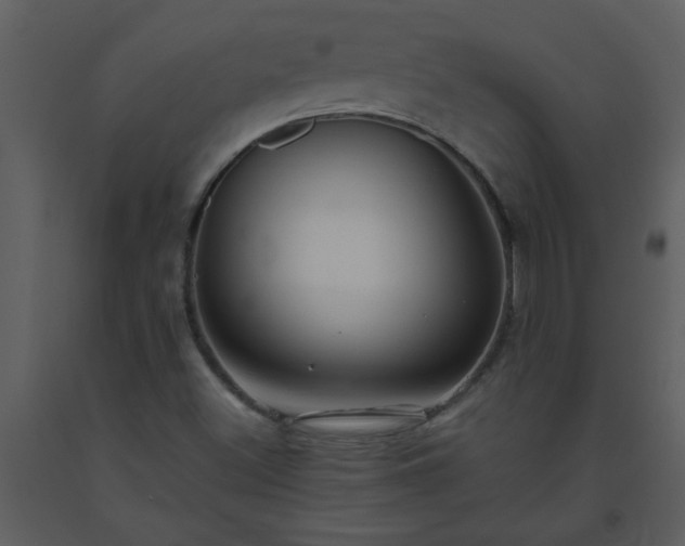 X0000093561500200710221412