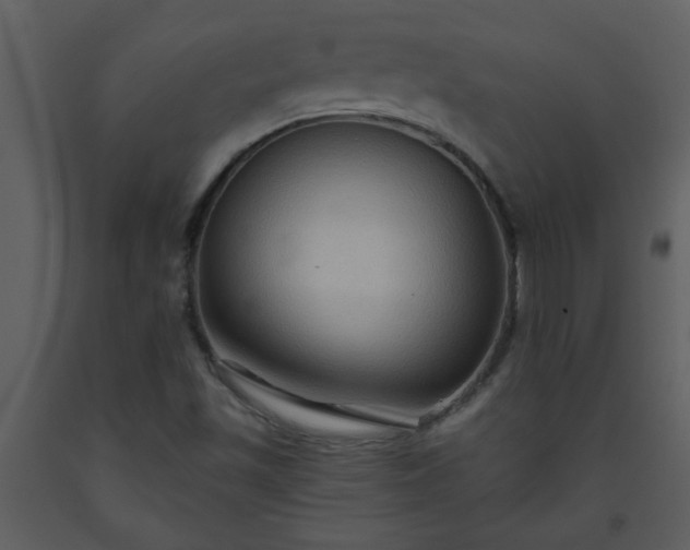 X0000093561501200710221412