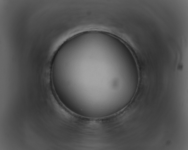 X0000093561504200710221412