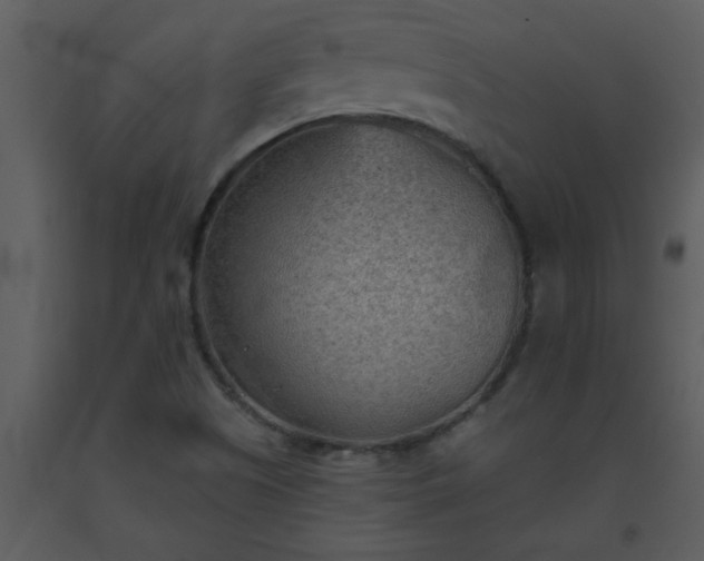 X0000093561505200710221412