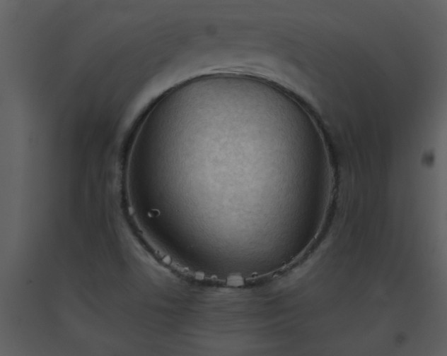 X0000093561506200710221412