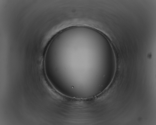 X0000093561507200710221412