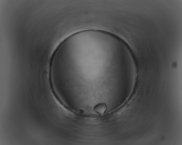X0000093561508200710221412