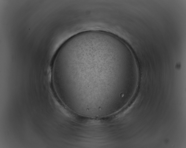 X0000093561509200710221412