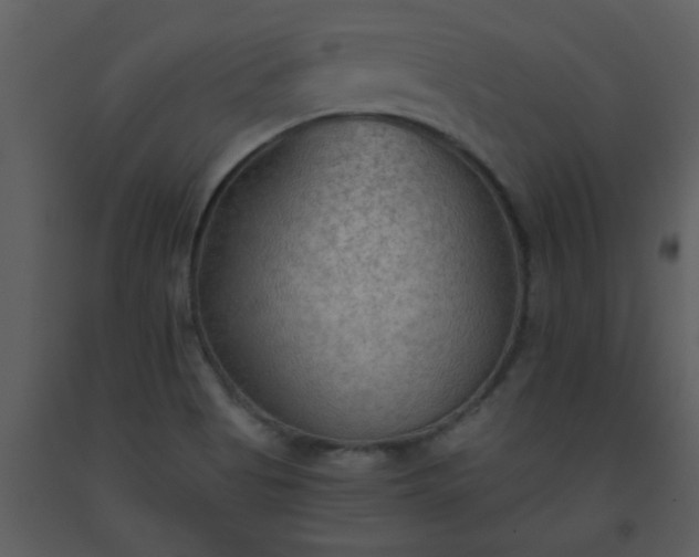 X0000093561513200710221412