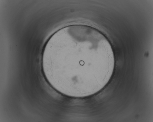 X0000093561514200710221412
