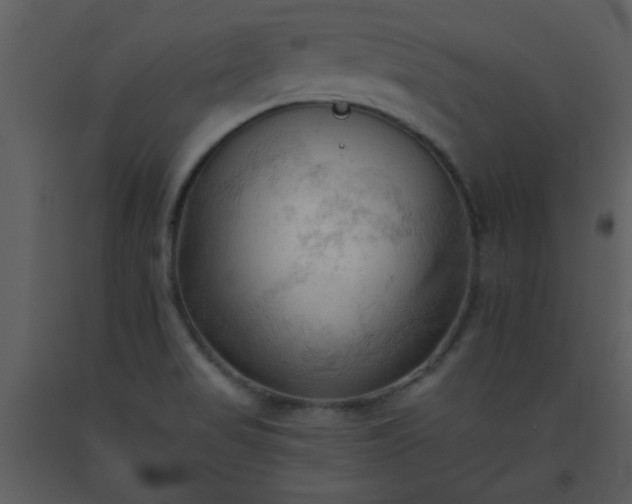 X0000093561517200710221412