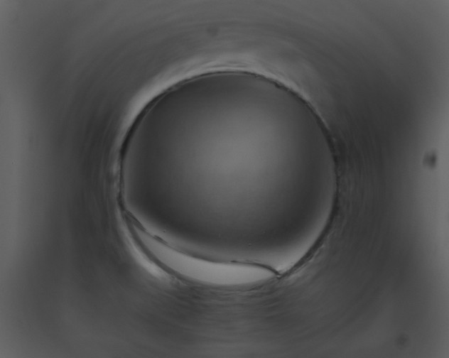 X0000093561519200710221412