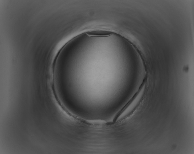 X0000093561520200710221412