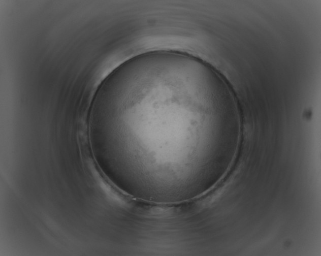 X0000093561521200710221412