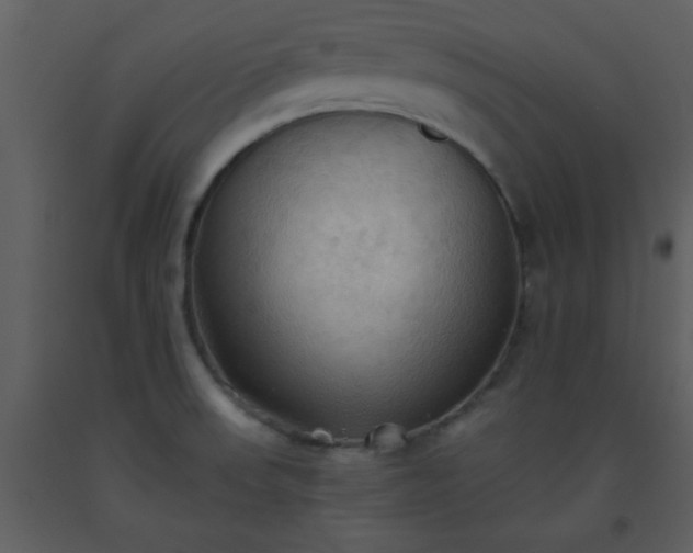 X0000093561523200710221412