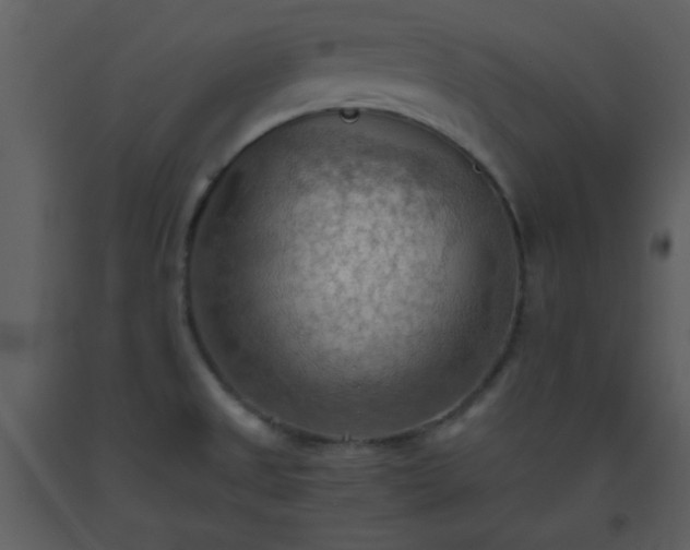 X0000093561525200710221412