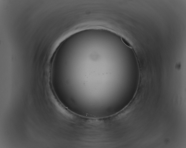 X0000093561526200710221412