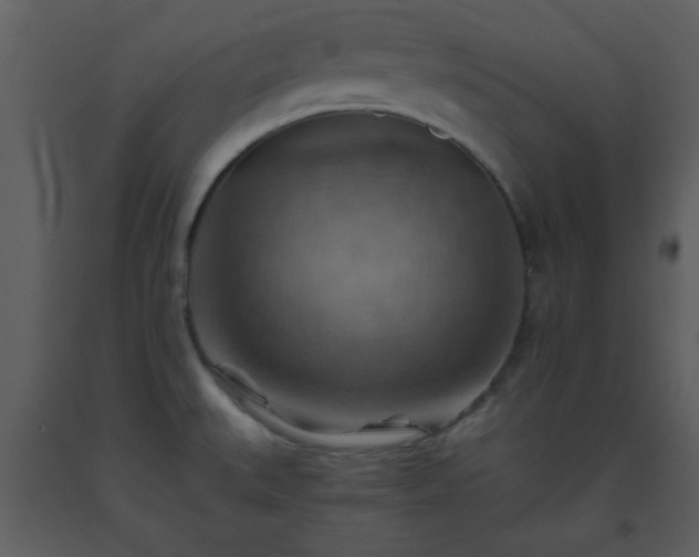 X0000093561527200710221412