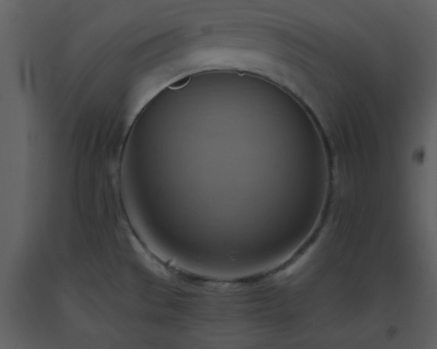 X0000093561529200710221412