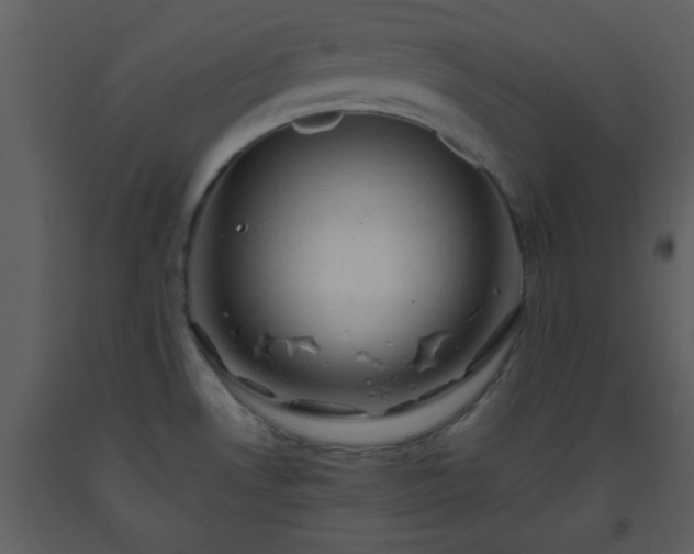 X0000093561530200710221412