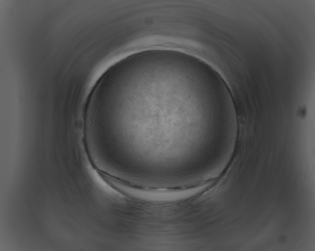 X0000093561531200710221412