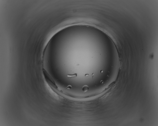 X0000093561532200710221412