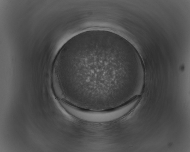 X0000093561533200710221412