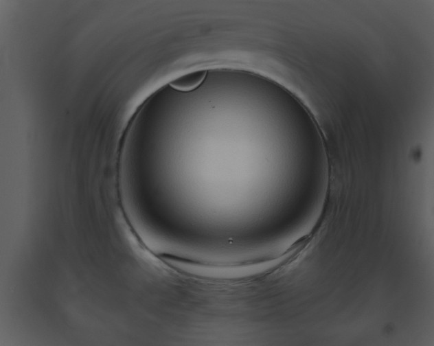 X0000093561534200710221412