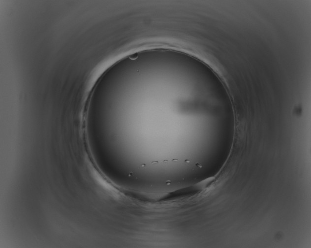 X0000093561535200710221412