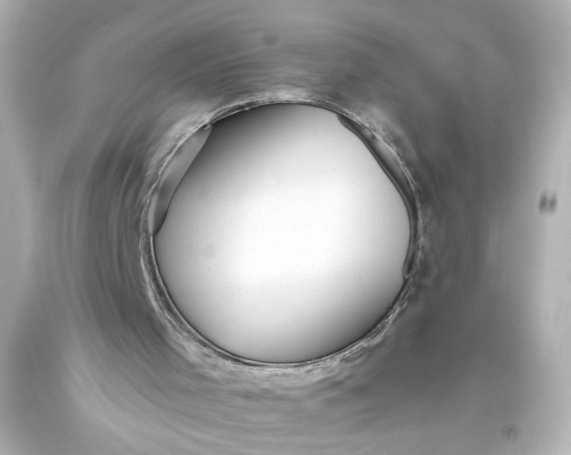 X0000093560001200710291029