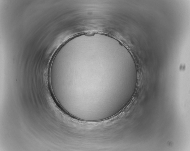 X0000093560002200710291029