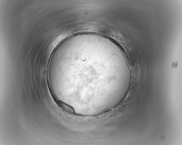 X0000093560003200710291029