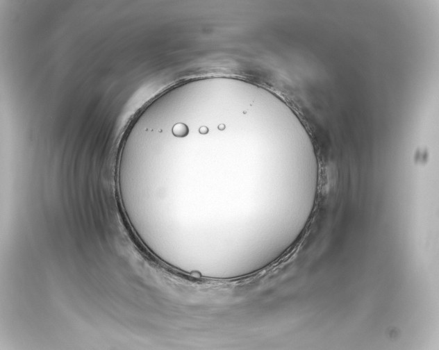 X0000093560004200710291029