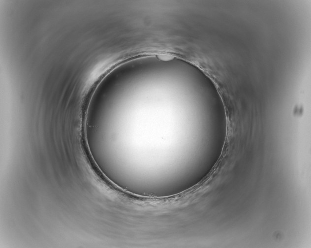 X0000093560005200710291028