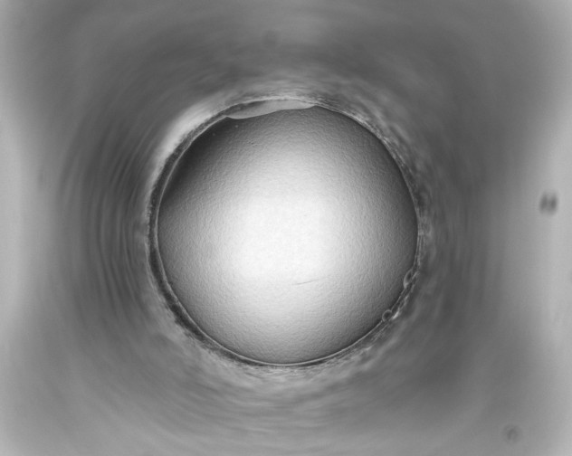 X0000093560006200710291028