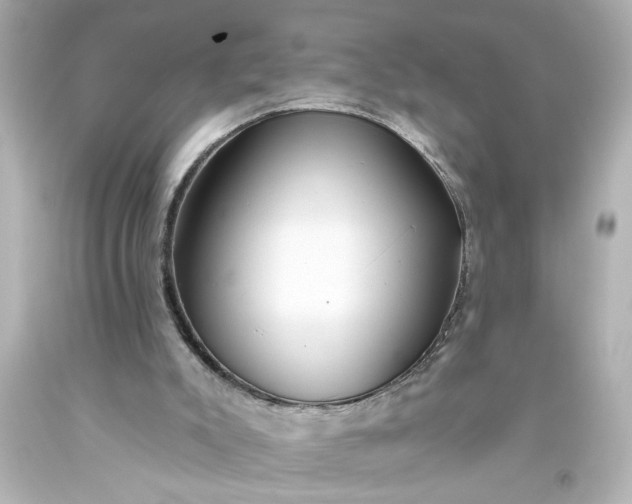 X0000093560007200710291028