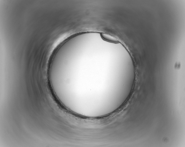 X0000093560008200710291028