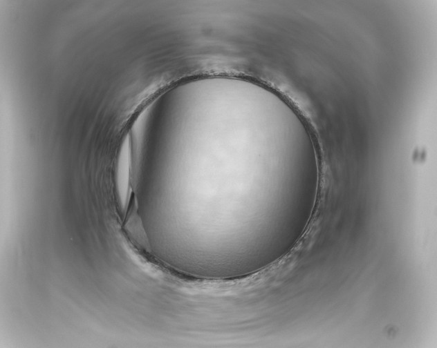 X0000093560009200710291028