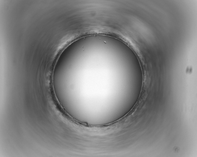 X0000093560010200710291028