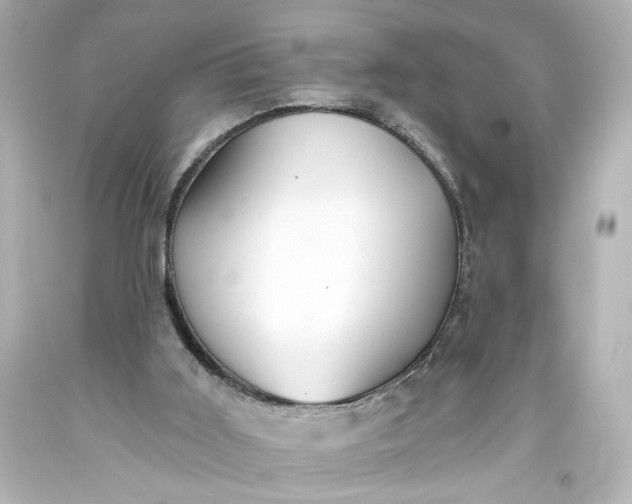 X0000093560011200710291028