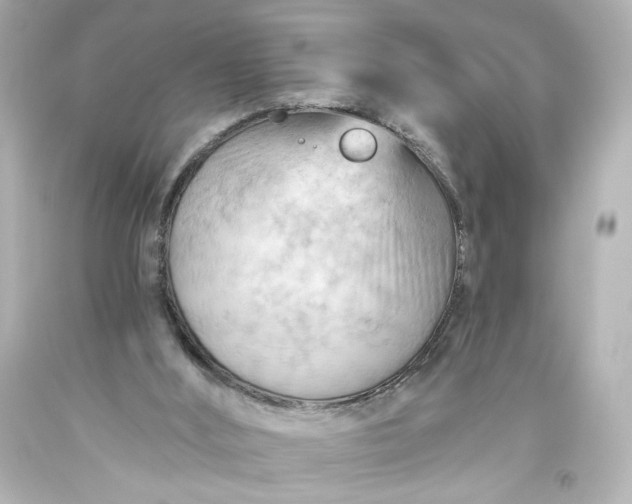 X0000093560012200710291028