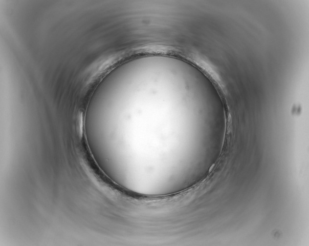 X0000093560013200710291028