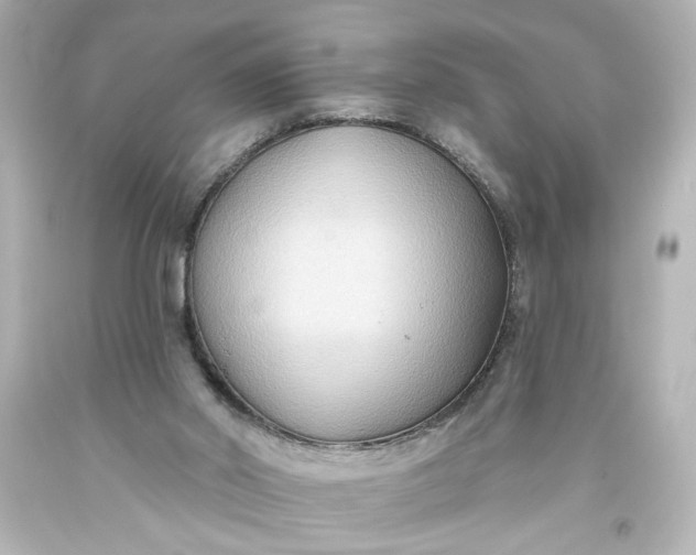 X0000093560014200710291028