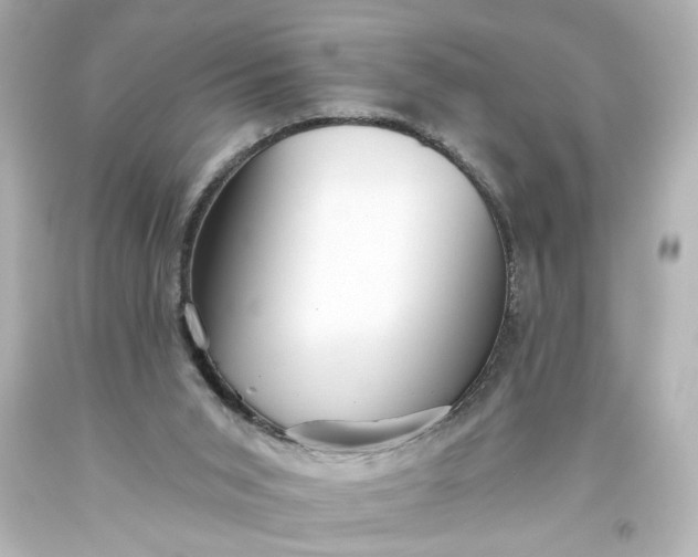 X0000093560015200710291028