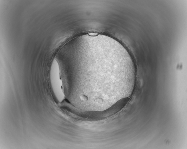 X0000093560017200710291028