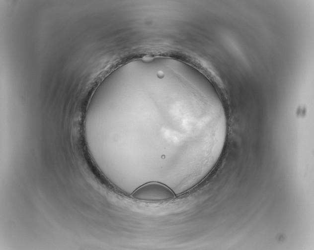 X0000093560018200710291028