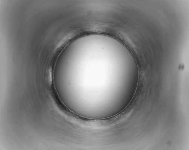 X0000093560020200710291028