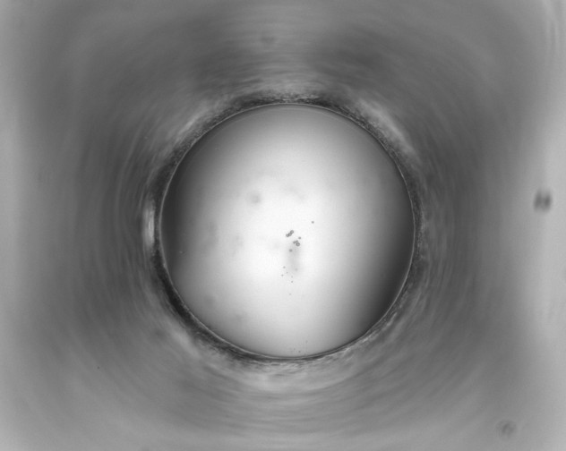 X0000093560021200710291028