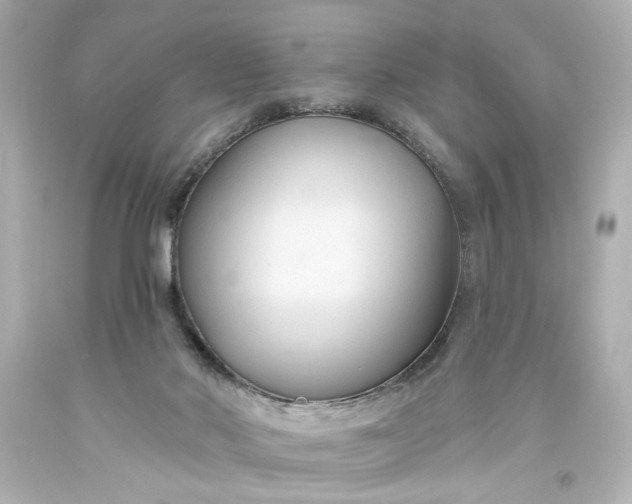 X0000093560022200710291028