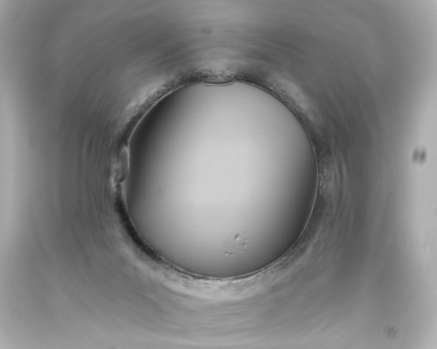 X0000093560023200710291028